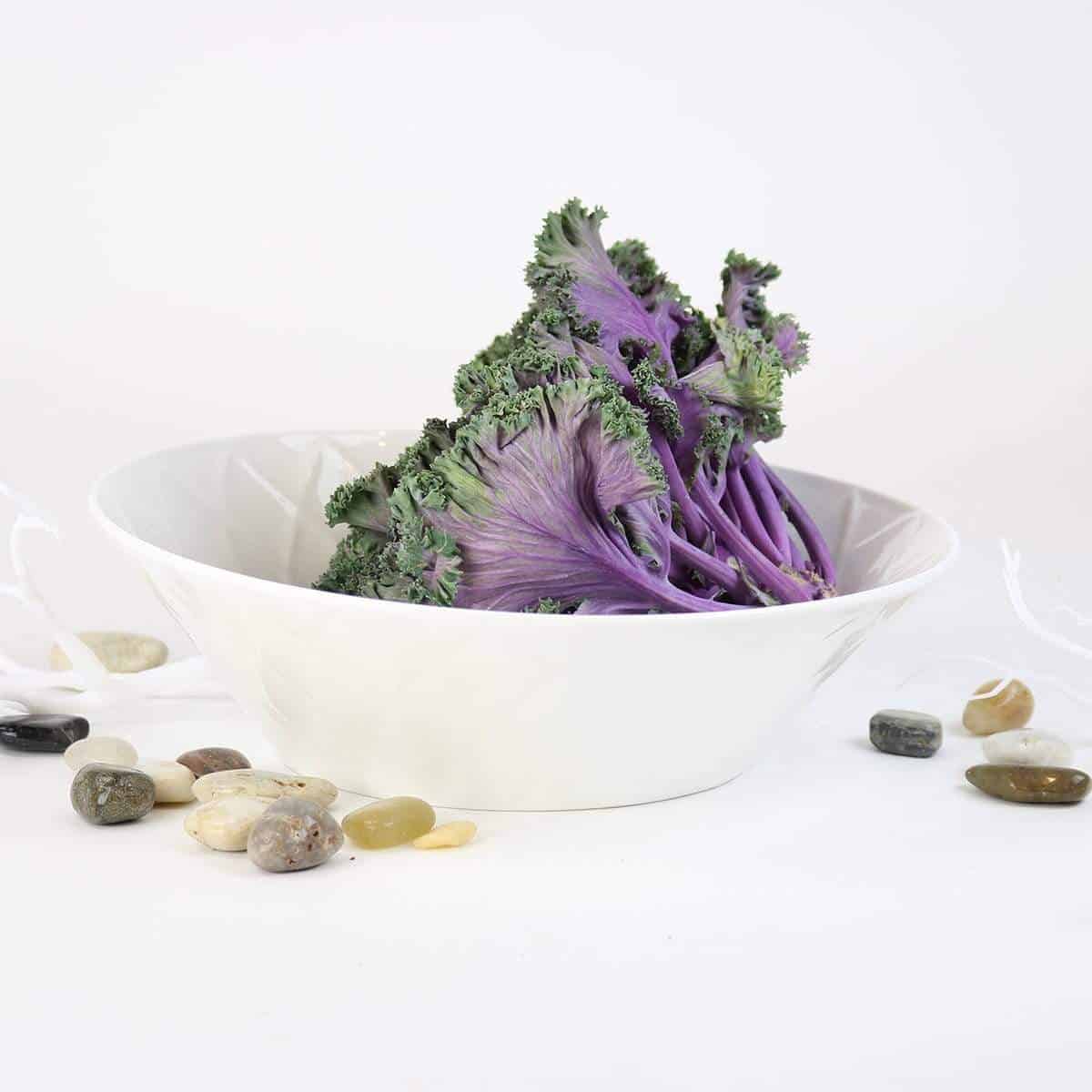 Lattice Salad Bowl