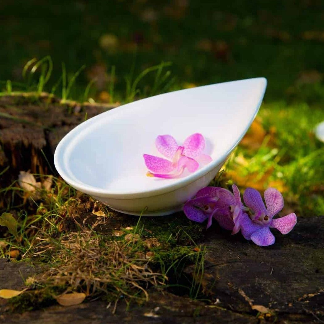 Droplet Appetizer Bowl-Set of 4