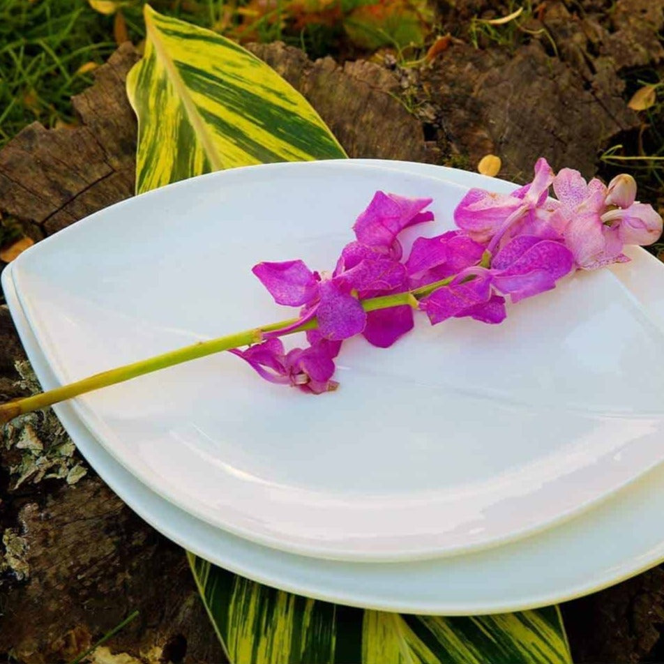 Leaf Shape Dinner PlateSet of 4 little white dish