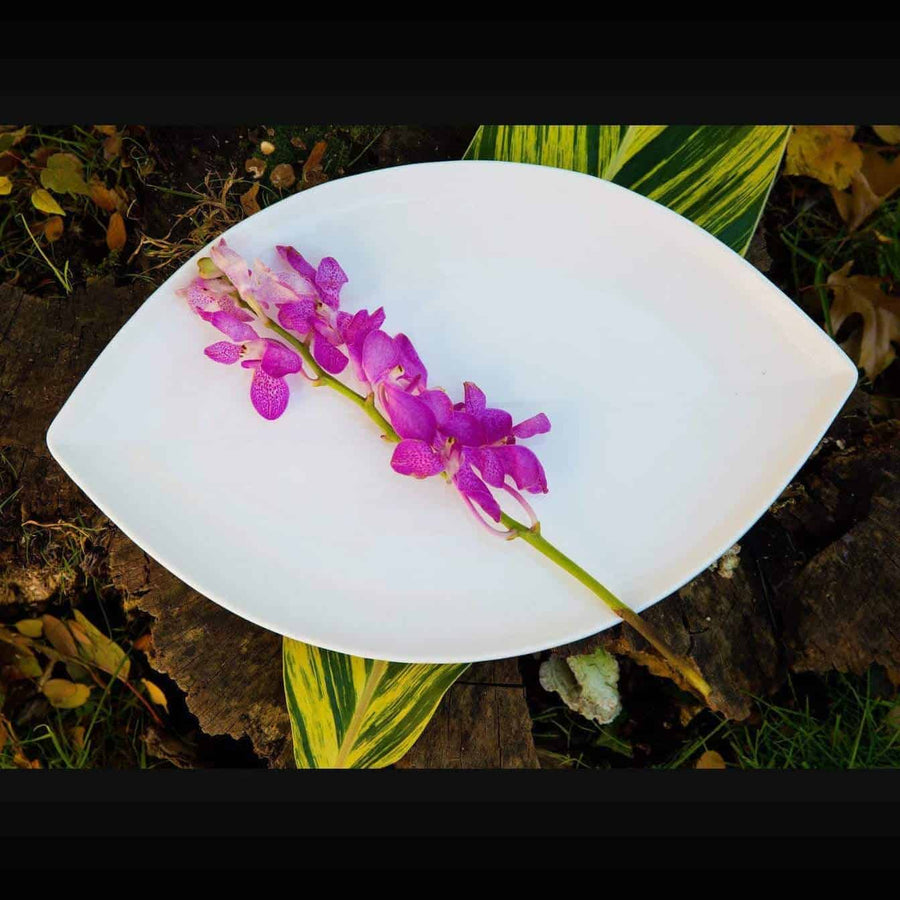 Leaf Shape Dinner Plate-Set of 4